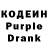 ТГК концентрат Sofia Drac