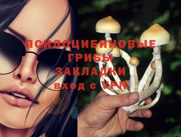 таблы Алексеевка