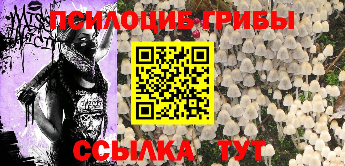 Псилоцибиновые грибы мухоморы Ковров