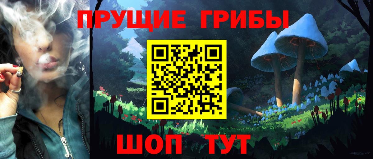 Ковров  Псилоцибиновые грибы Psilocybe  Вход с VPN  Псилоцибиновые грибы Psilocybe 