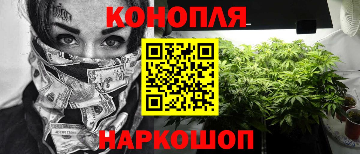 Конопля марихуана Ковров